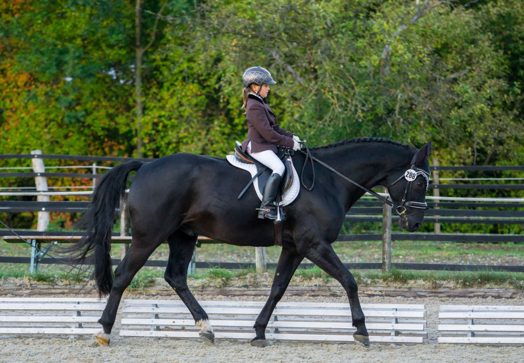 2015-09-126_Altenburg_E-Dressur-WB_Lisa-Walter_4. Platz_opt