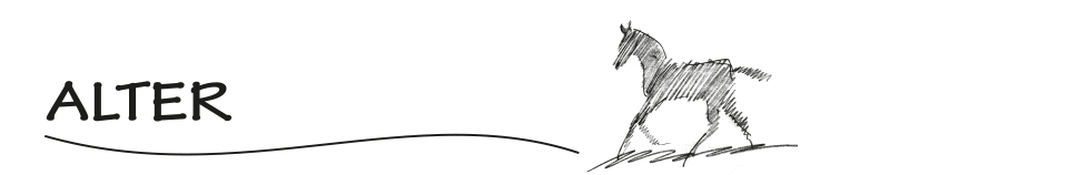 Logo Alter Haidhof